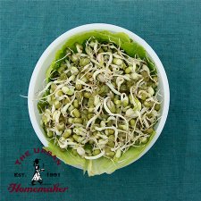 Mung Bean Sprouting Seeds -Organic-