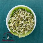 Mung Bean Sprouting Seeds -Organic-