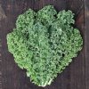 Meadowlark Kale