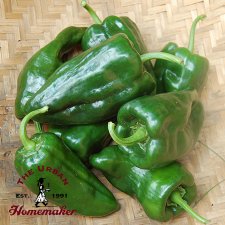 Ancho Poblano Hot Pepper -Certified Organic- 