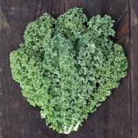 Meadowlark Kale