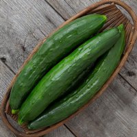 Shintokiwa Cucumber